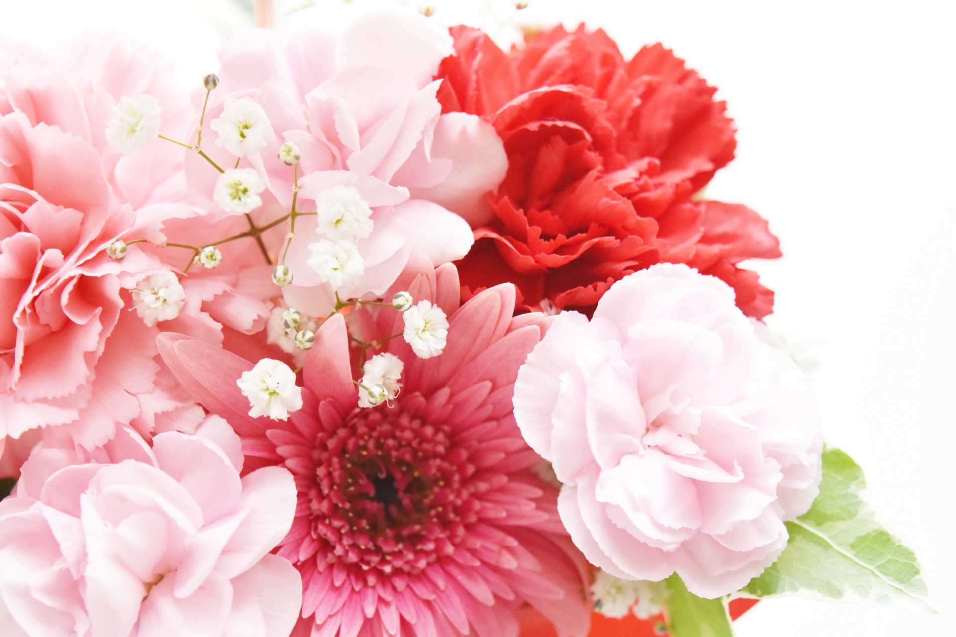 花屋さんでの上手な花束の頼み方 イメージを伝える注文のコツ フェミニバ